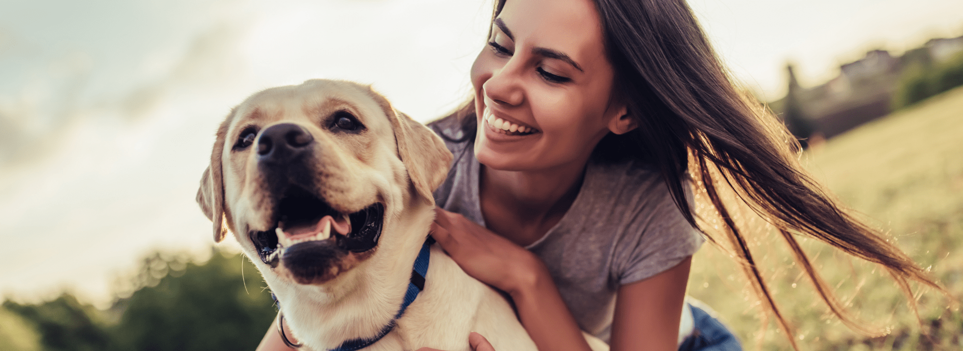 Alergias e imunoterapia para cães