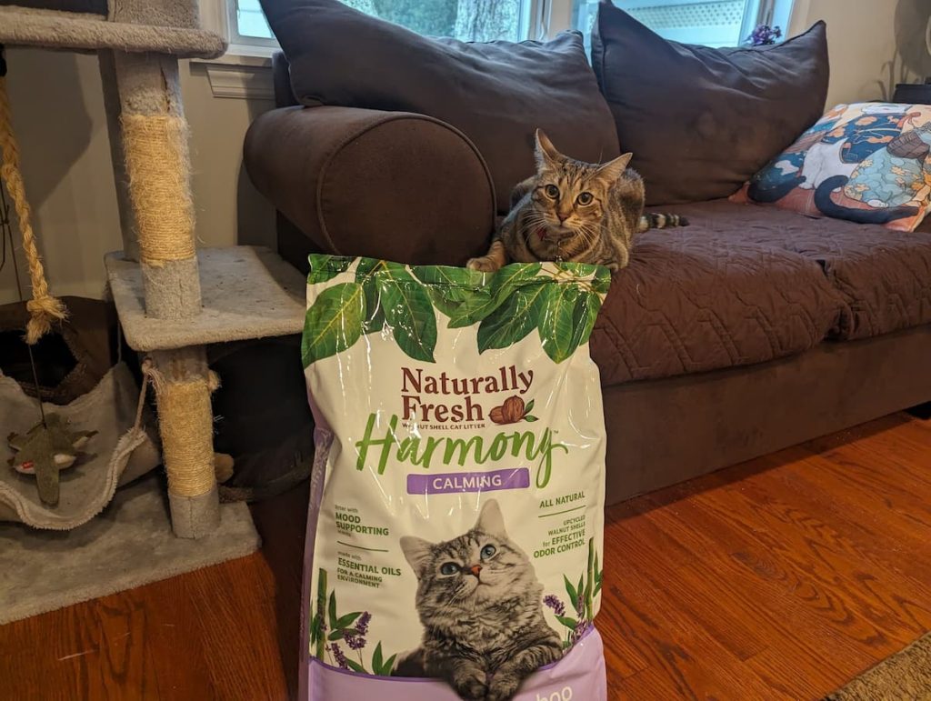 Ninhada de gato naturalmente fresca: a maca de lavanda Harmony pode acalmar meu gato? - rua veterinária
