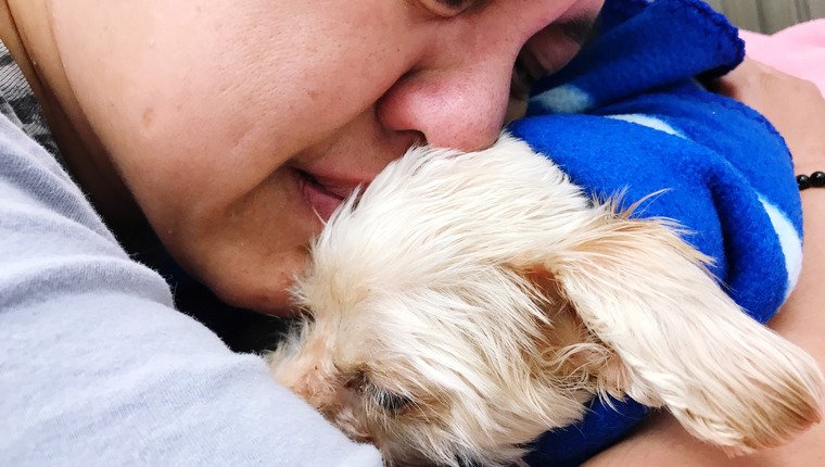 Abrigo de animais reúne um cachorro com dono sem-teto
