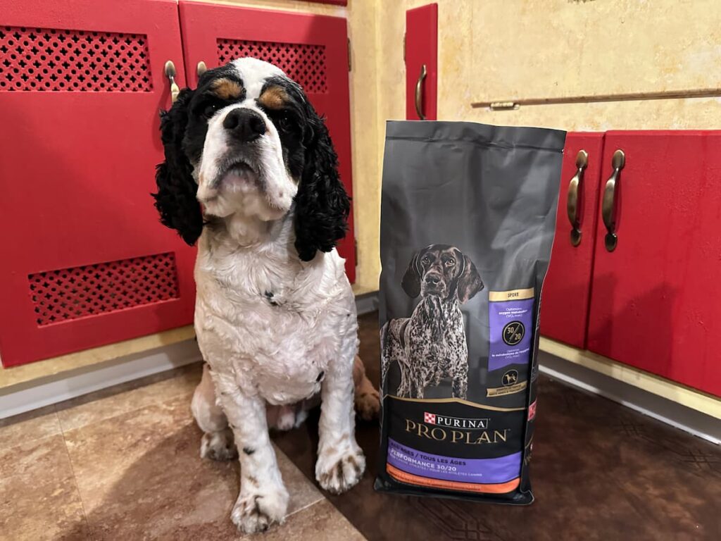 Revisão de comida para cães Purina Pro Plan Sport - Vetstreet
