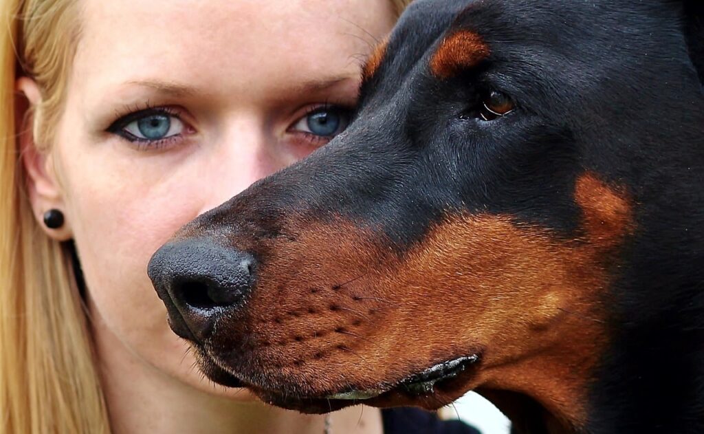 hundemagazin.net