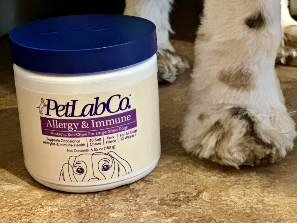 Revisão: nossa experiência honesta testando os produtos da Petlab Co. para cães - Vettreet