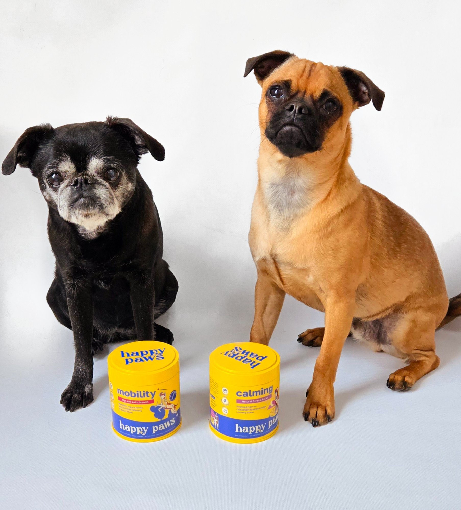 Revisão do Produto Happy Paws: Nossa experiência honesta - Vettreet