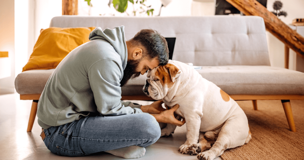 Melhores raças de cães para homens solteiros