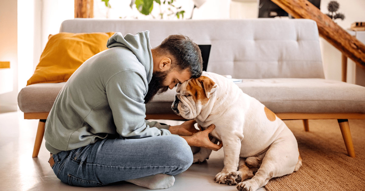 Melhores raças de cães para homens solteiros