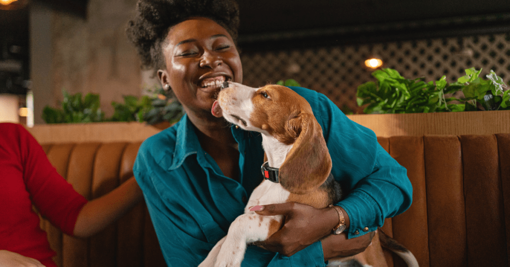 Melhores raças de cães para mulheres solteiras