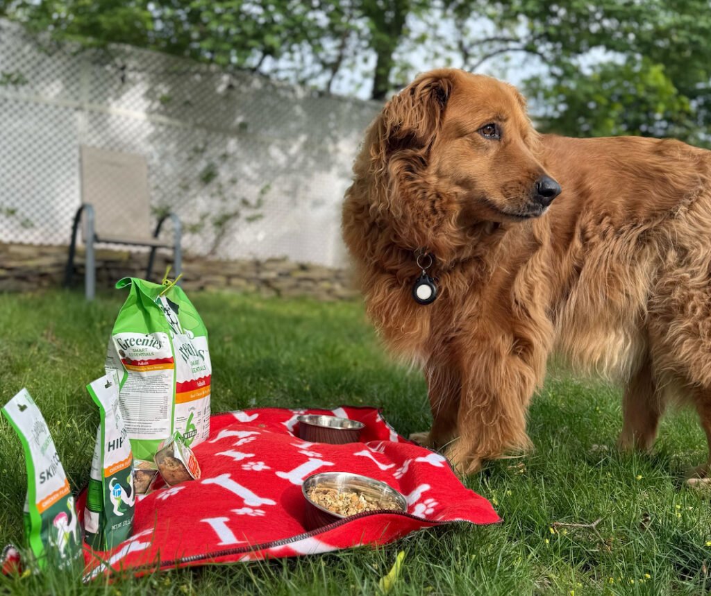Top Greenies Products Beyond Dental Masture: Teste de Pet Parent - Vettreet
